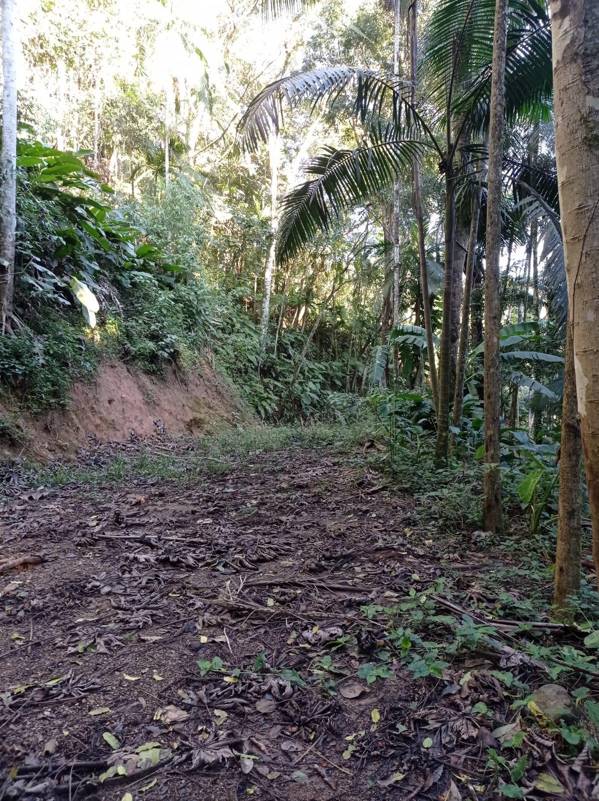 Terreno à venda, 10000 - Foto 9