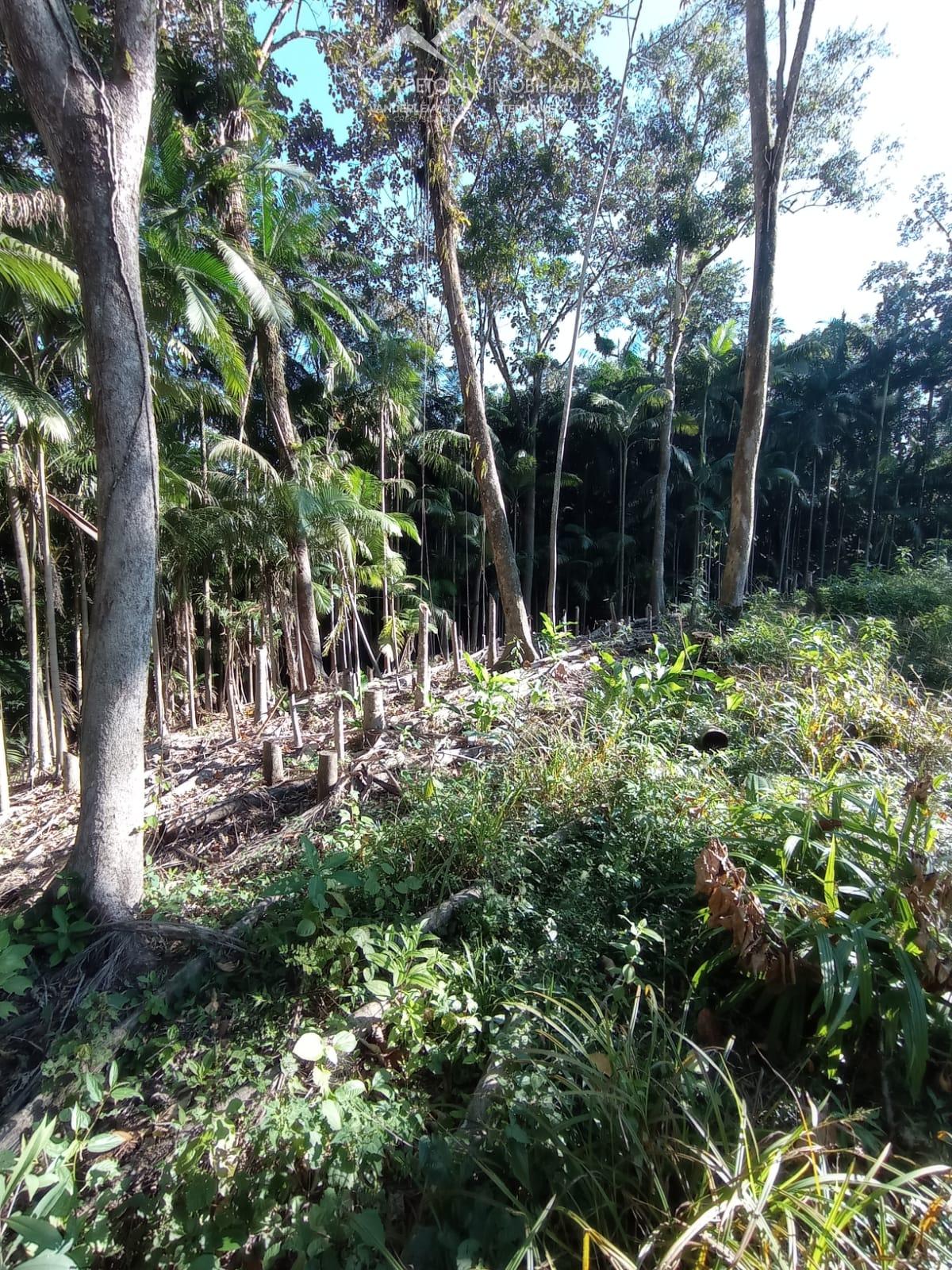 Terreno à venda, 10000 - Foto 10