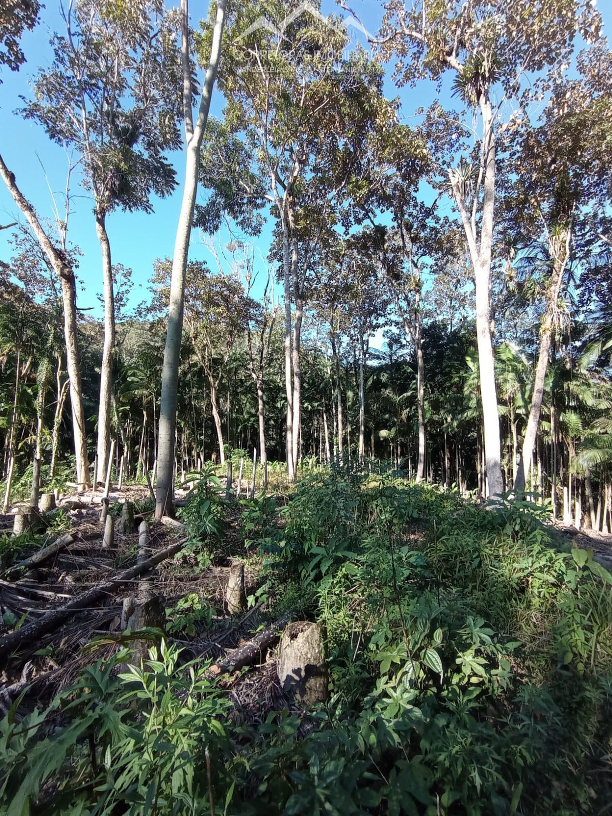 Terreno à venda, 10000 - Foto 11