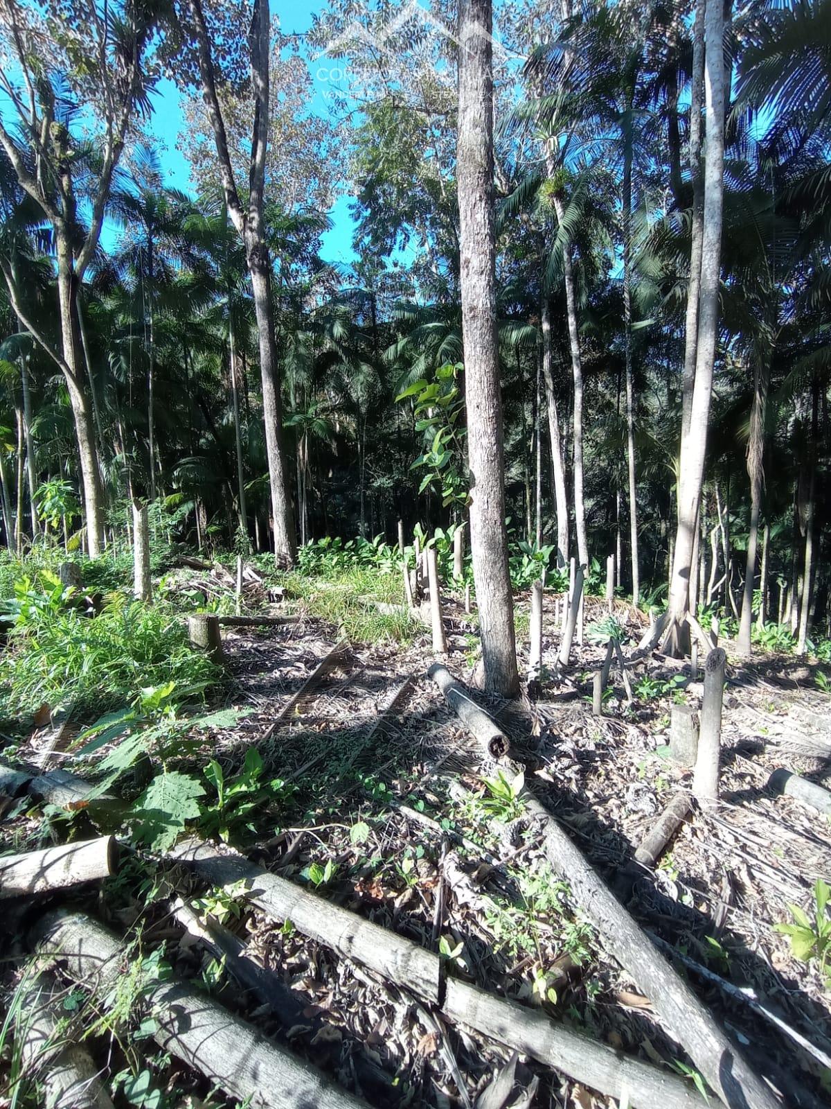 Terreno à venda, 10000 - Foto 12