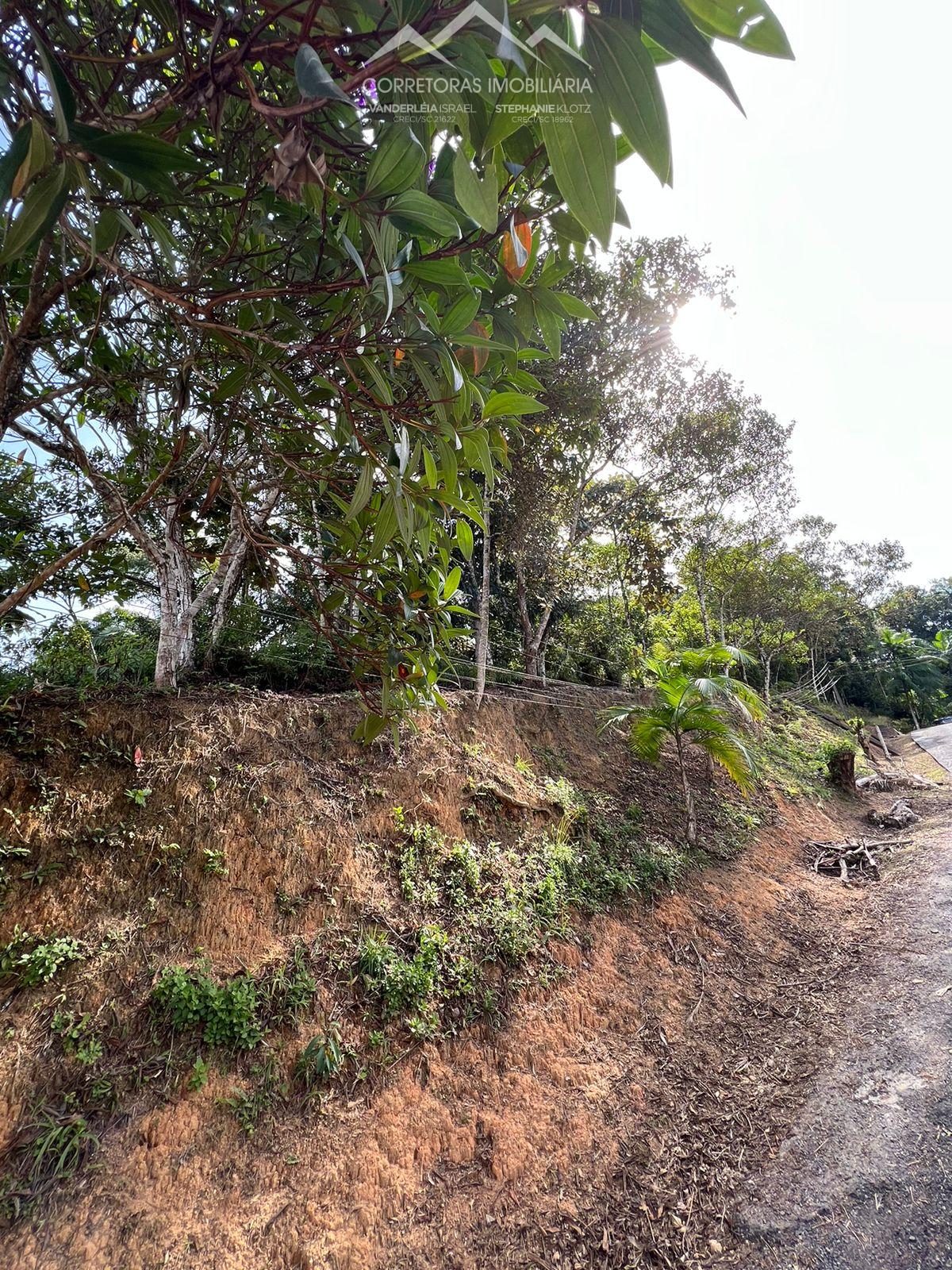 Terreno à venda, 2500 - Foto 2