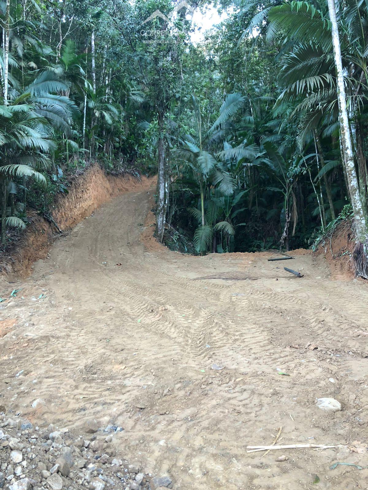 Terreno à venda, 10000 - Foto 1