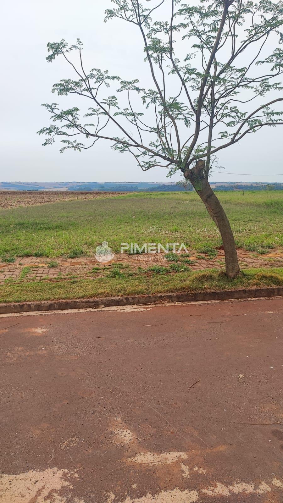 Lote à venda, VILA IPIRANGA, TOLEDO - PR 