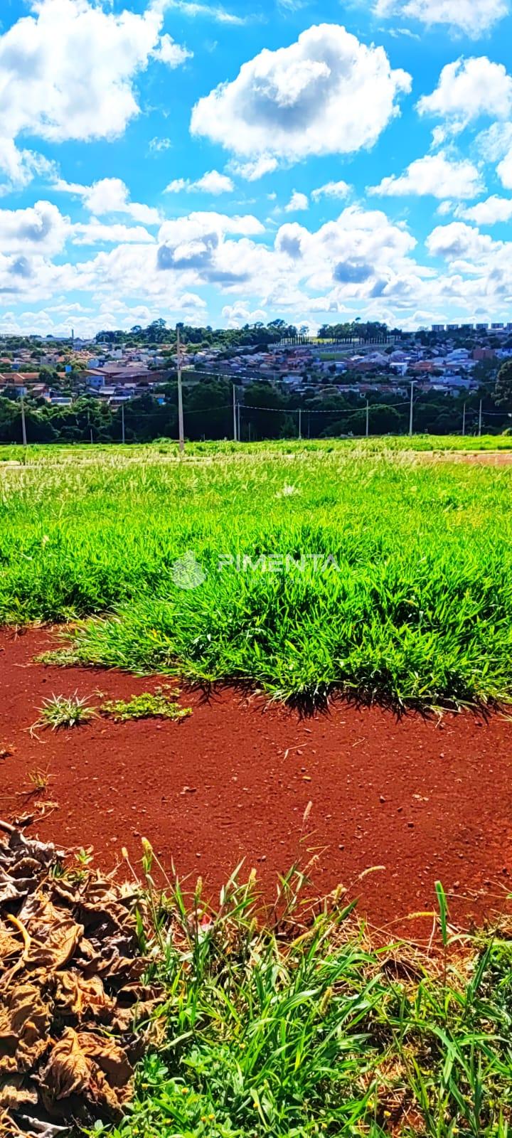Terreno à venda, VILA PIONEIRO, TOLEDO - PR