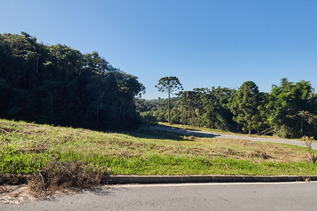Terreno à venda por R$ 590.000 -  Campo Largo - PR