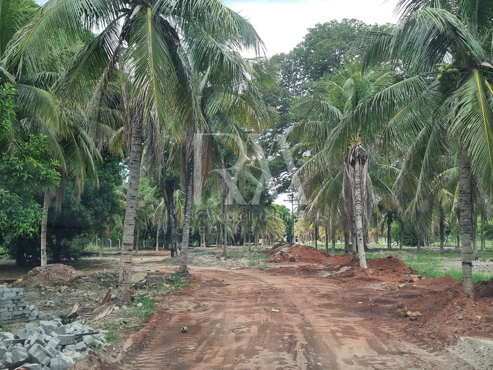 Terreno à venda, BAIRRO VARGINHA, TRES LAGOAS - MS