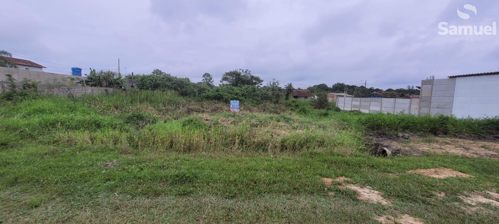 Terreno em rua tranquila perto da horta municipal e zoonose