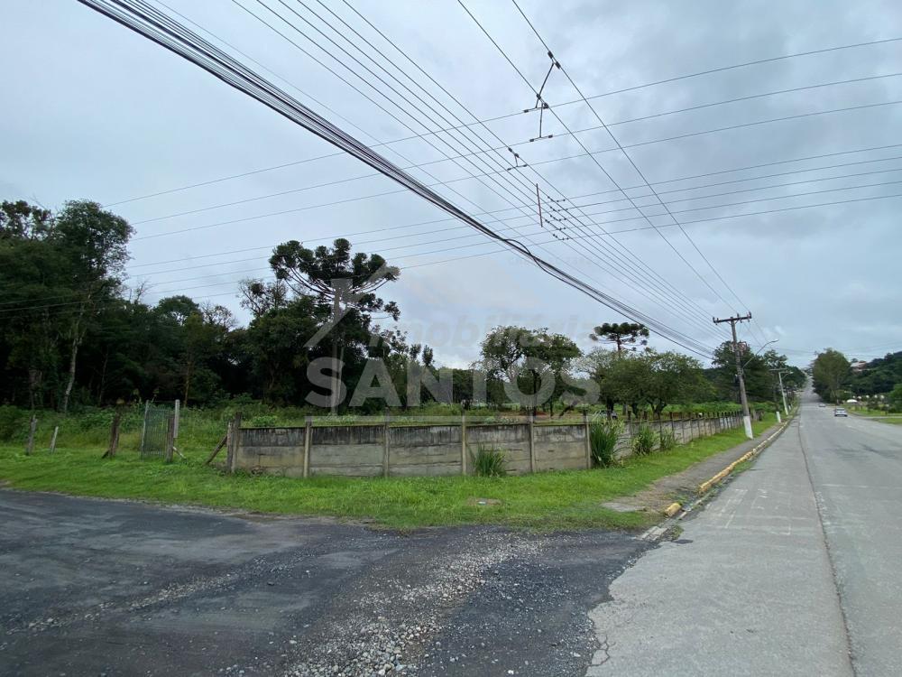 Terreno à venda, Campo Do Gado, RIO NEGRO - PR