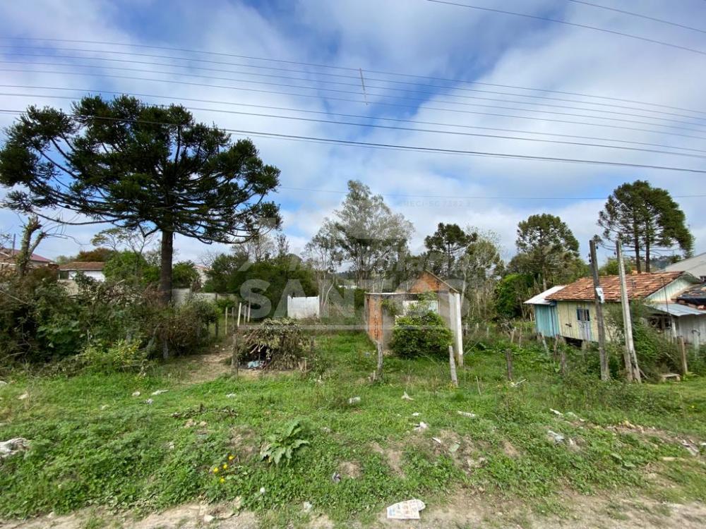 Terreno à venda, Vila Ivete, MAFRA - SC