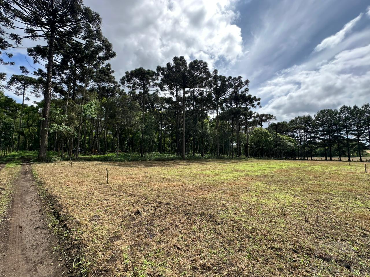 Rural à venda, São Lourenço, MAFRA - SC