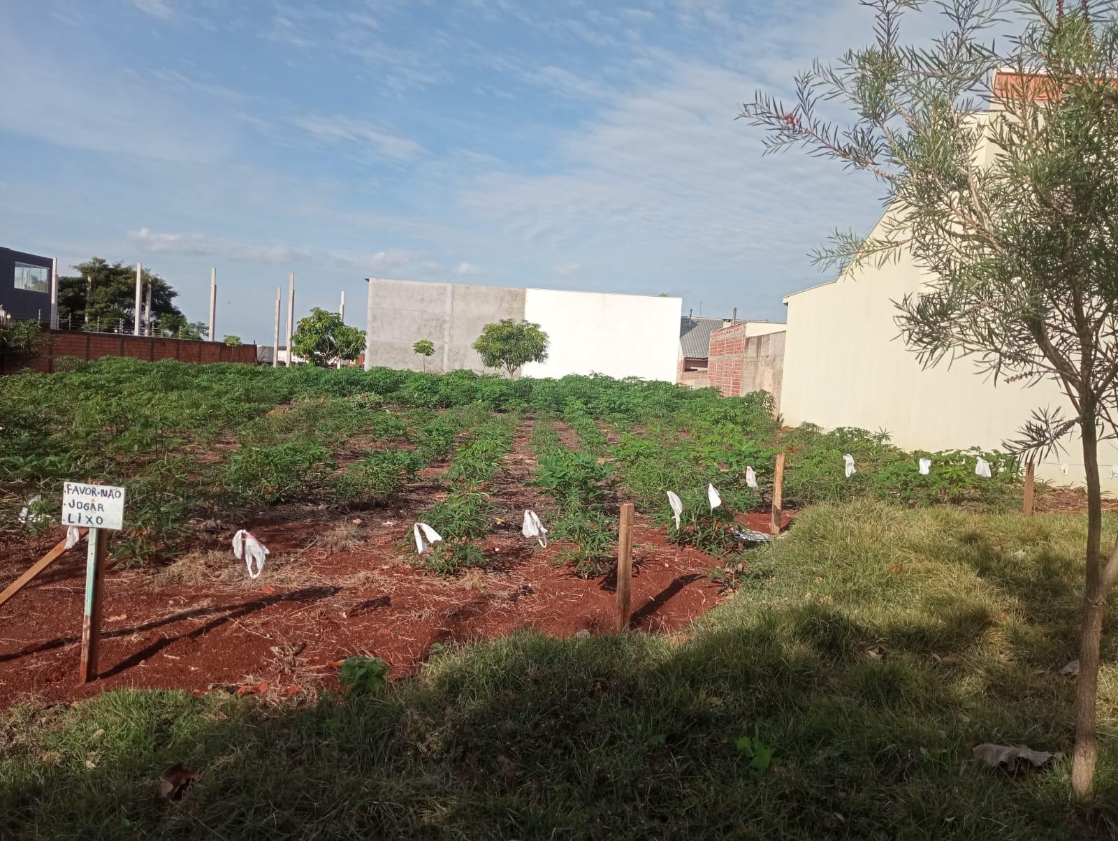 Terreno localizado no Jardim Gisela