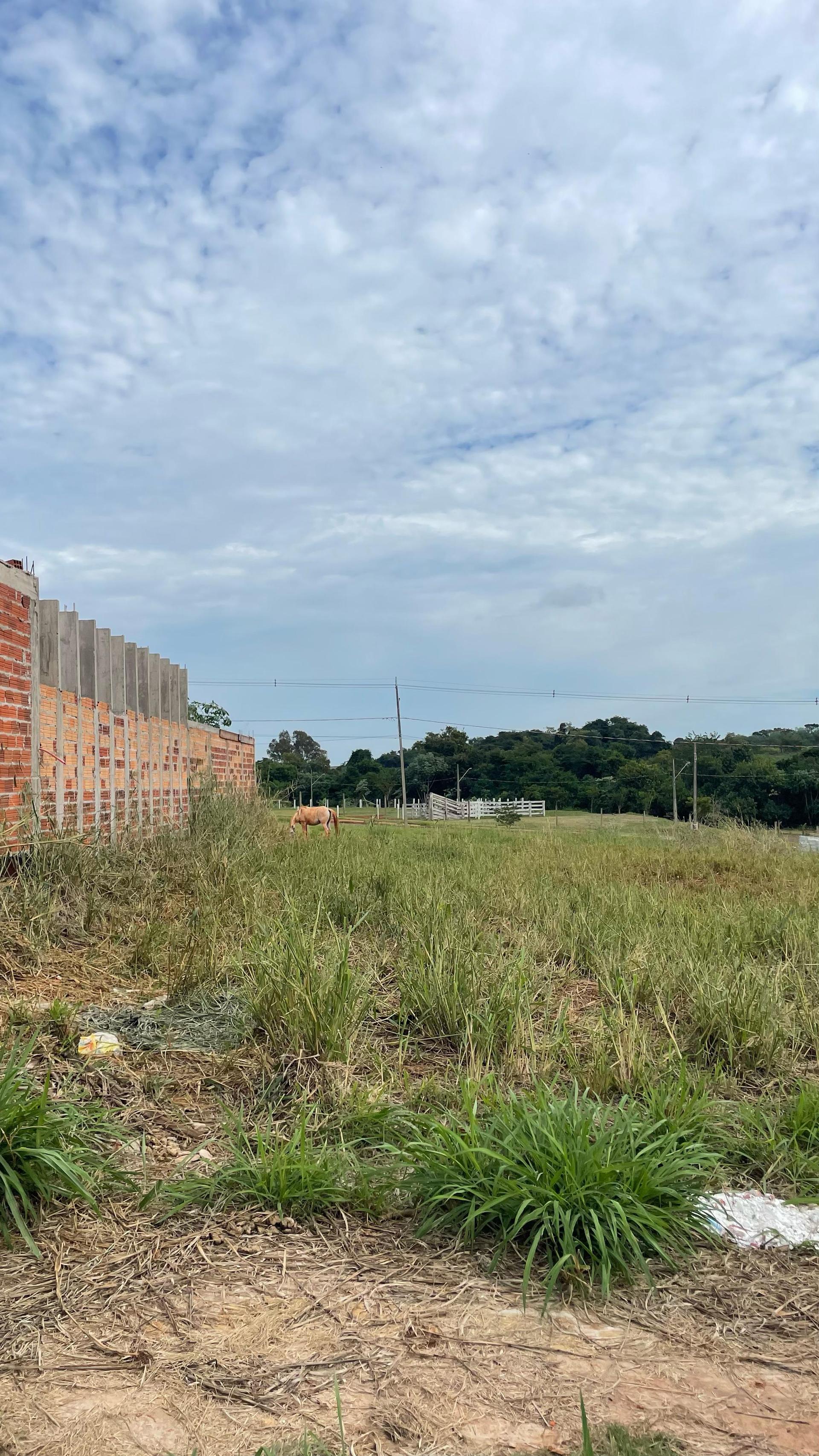 TERRENO PLANO DE 275m  NO JARDIM COOPAGRO  