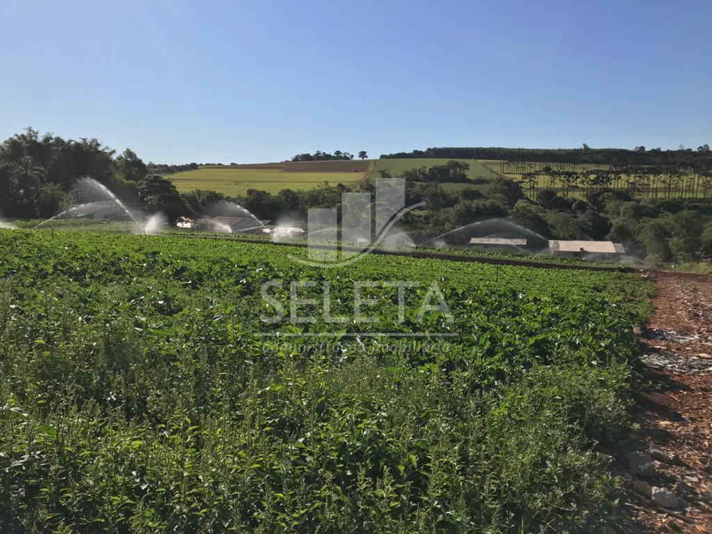 Terreno à venda, Floresta, CASCAVEL - PR