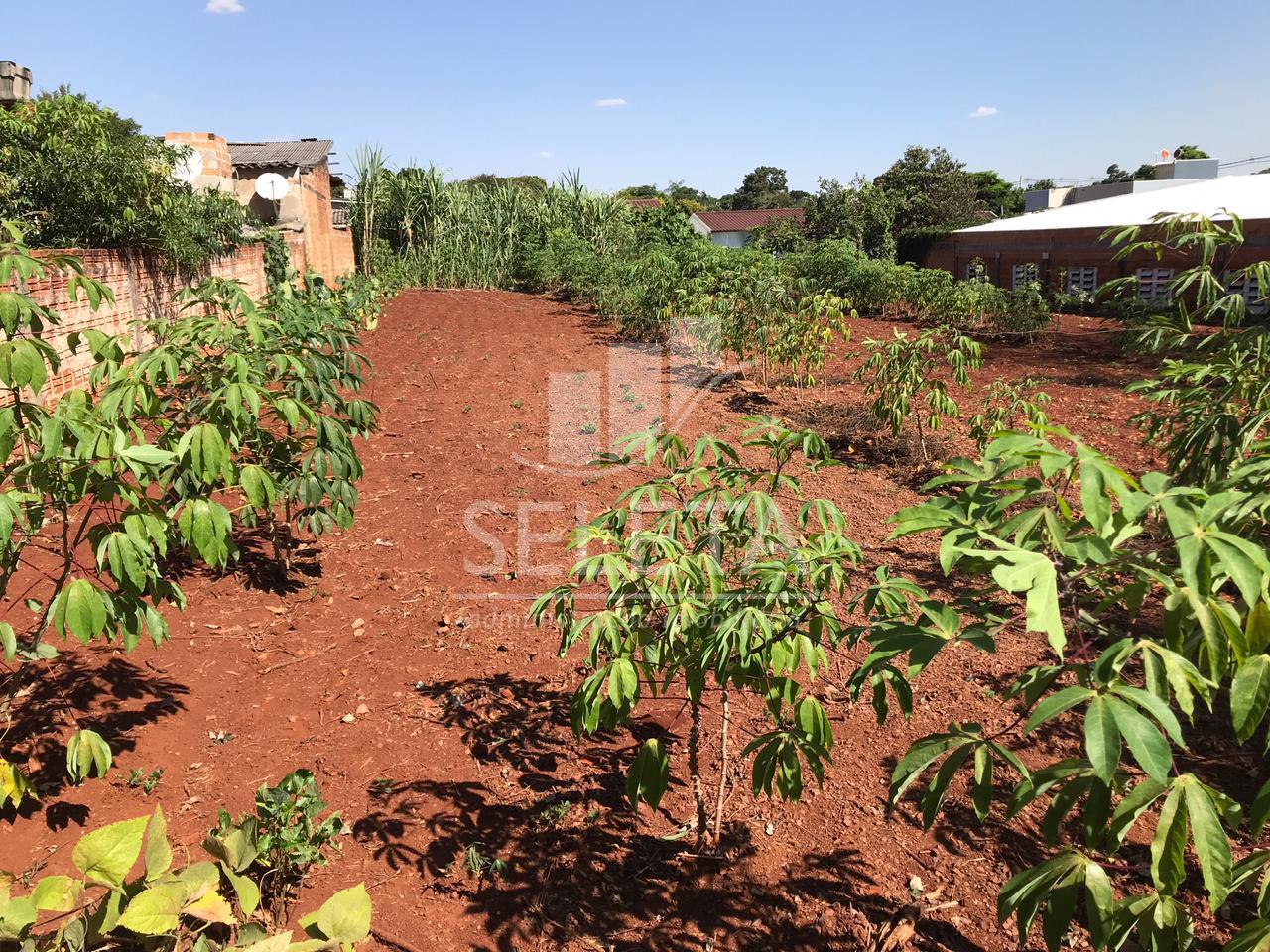 Terreno à venda, 20X40m, CENTRO, ao lado do CTG, com viabilida...