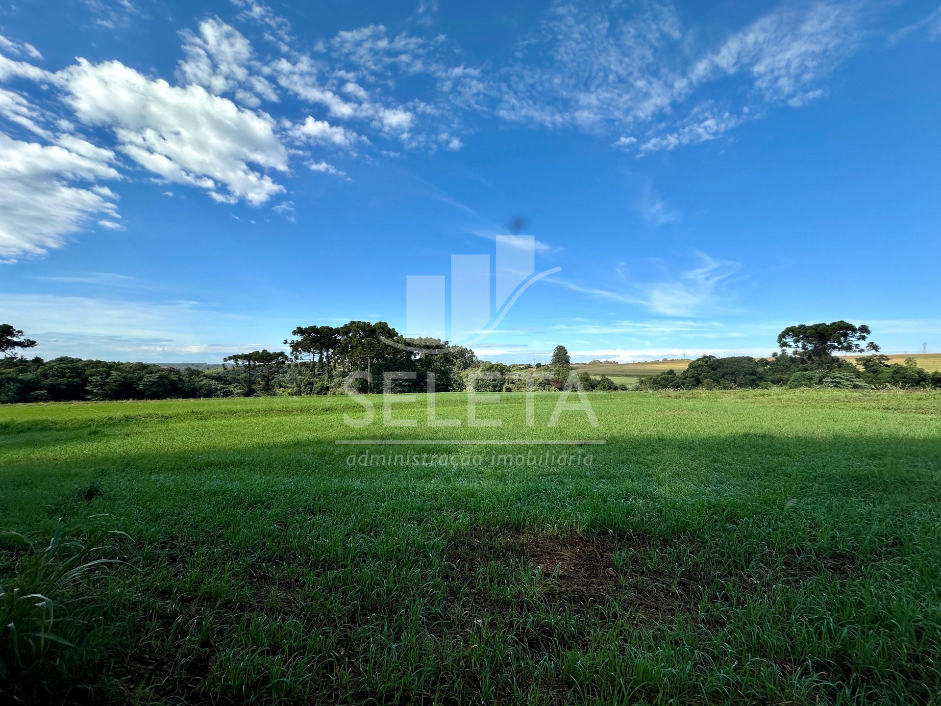 Vende-se Chácara  de 20.000 m  em Cascavel.