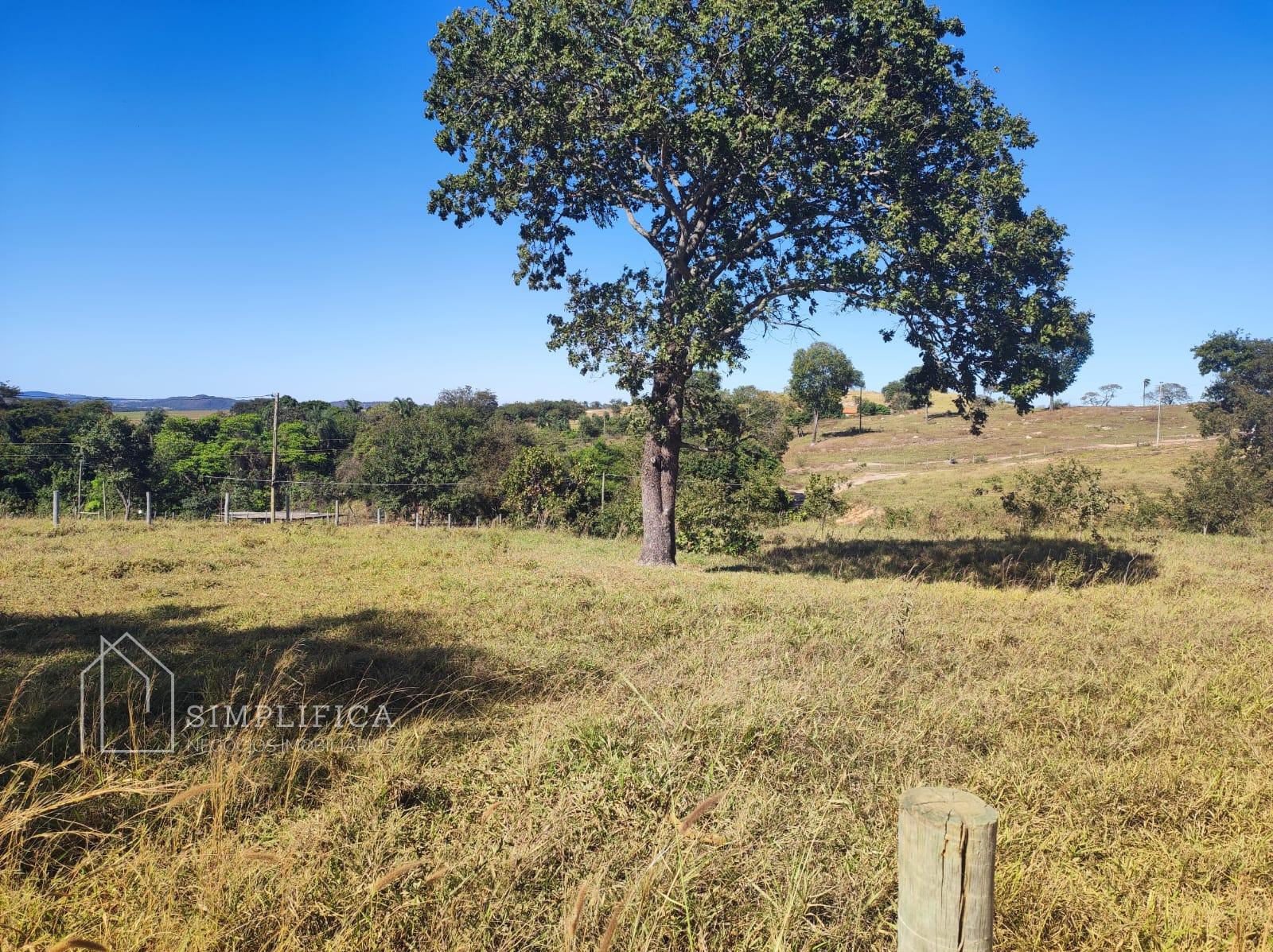 CHÁCARA PARA VENDA EM PONTALINA - GO