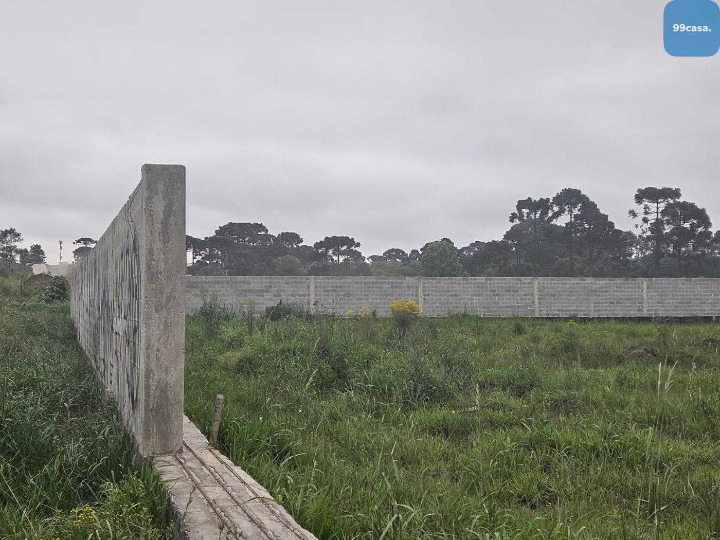 Terreno para Locação em São José dos Pinhais   PR no bairro Ri...