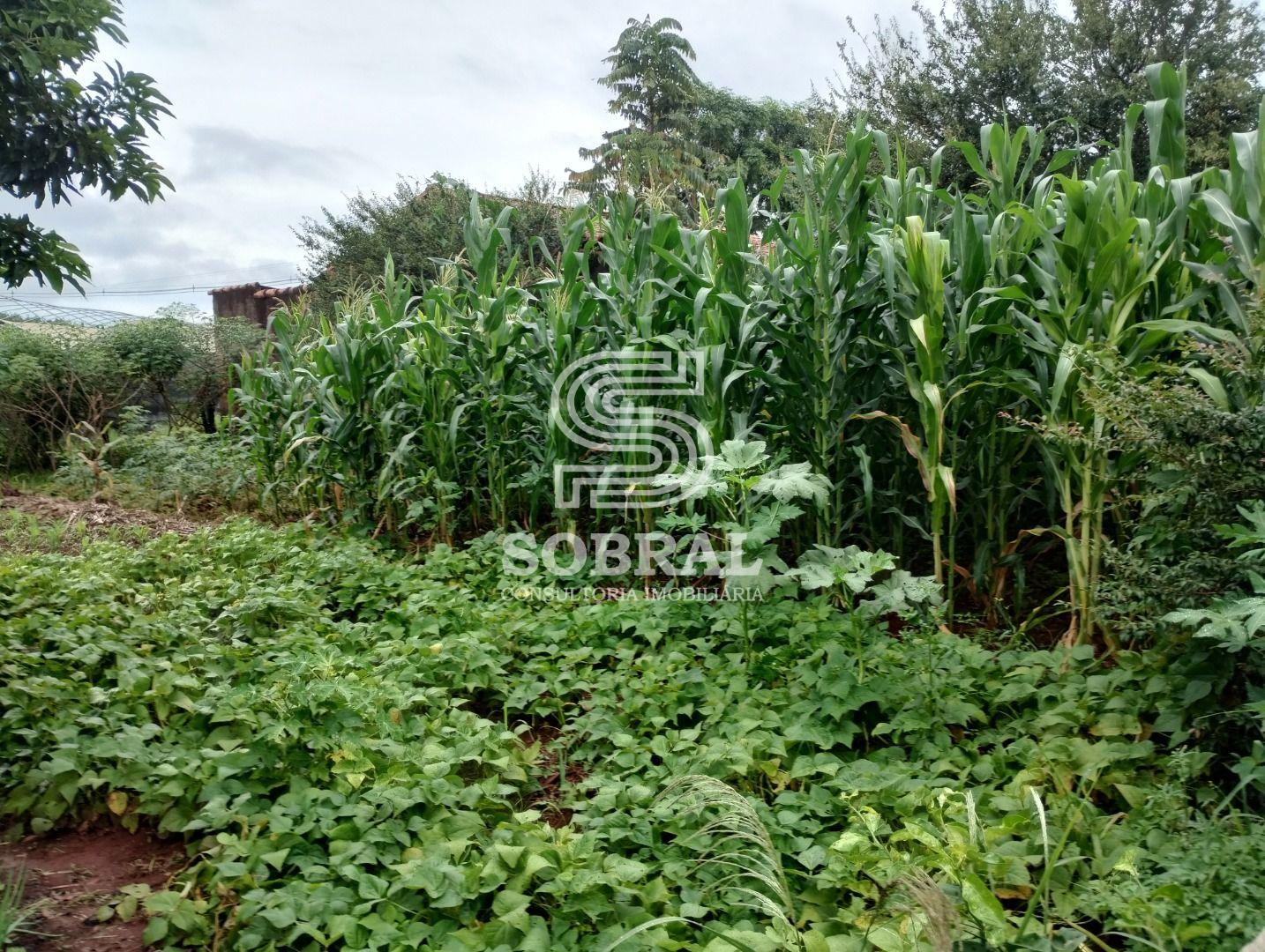 Terreno à venda, Vila Cantizani, AGUAS DE SANTA BARBARA - SP