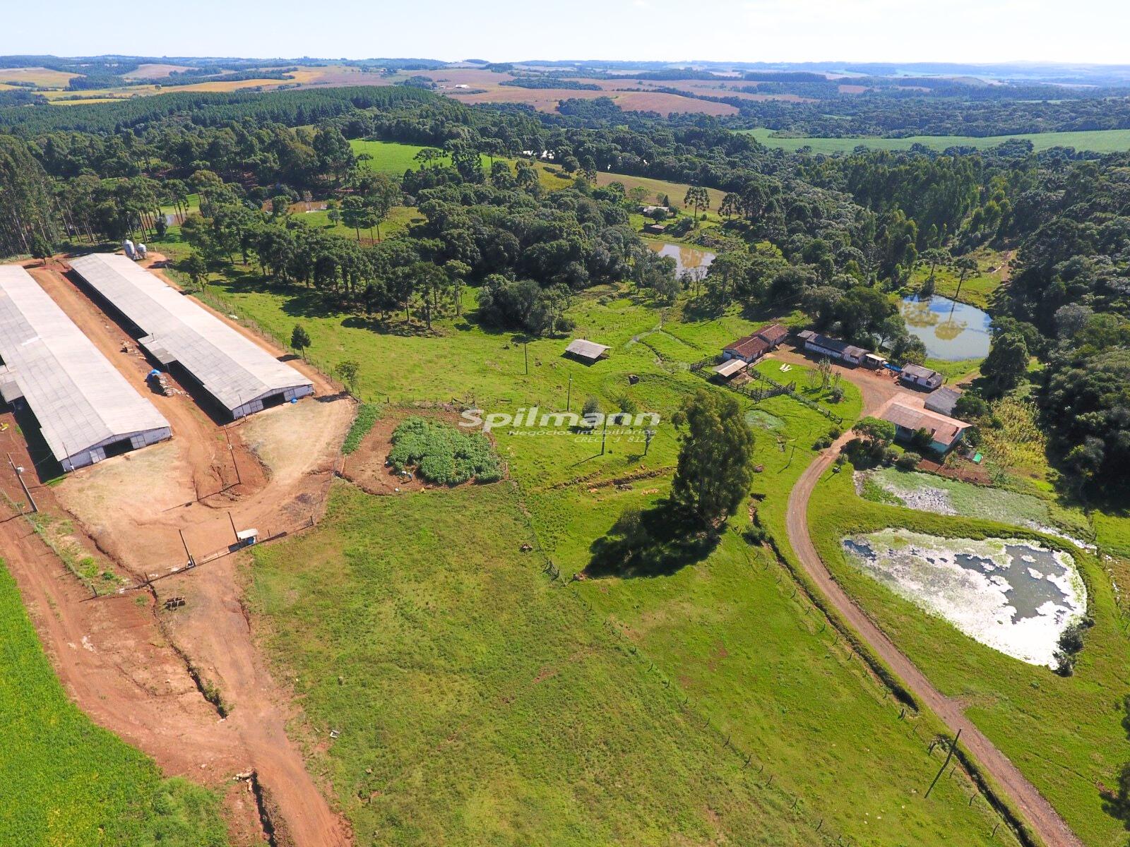 Sítio à venda com 17,30 alqueires, ÁREA RURAL, PALMAS - PR