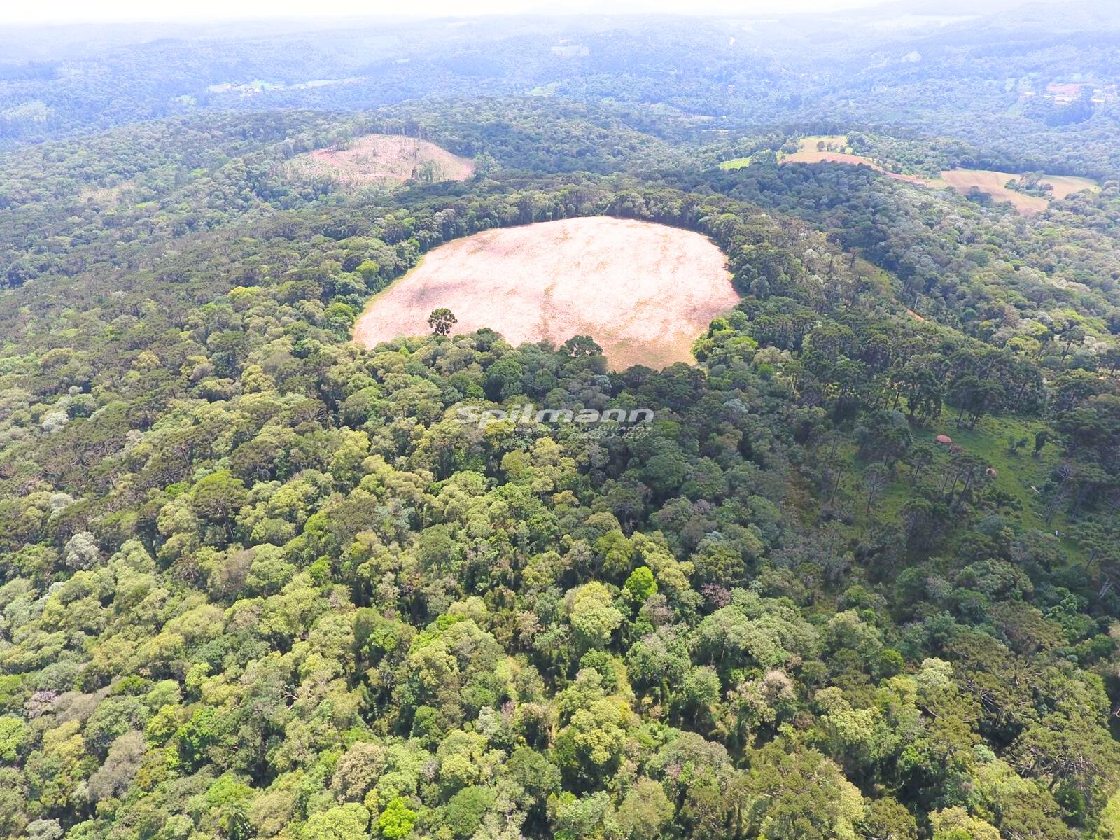 Fazenda à venda com 46,42 Alqueires Paulistas, ÁREA RURAL, GENERAL CARNEIRO - PR