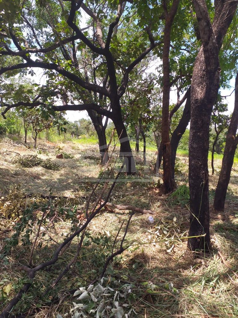 Lote à venda, EXCELENTE CONDOMÍNIO PARQUE DAS FLORES, JABOTICATUBAS  - MG