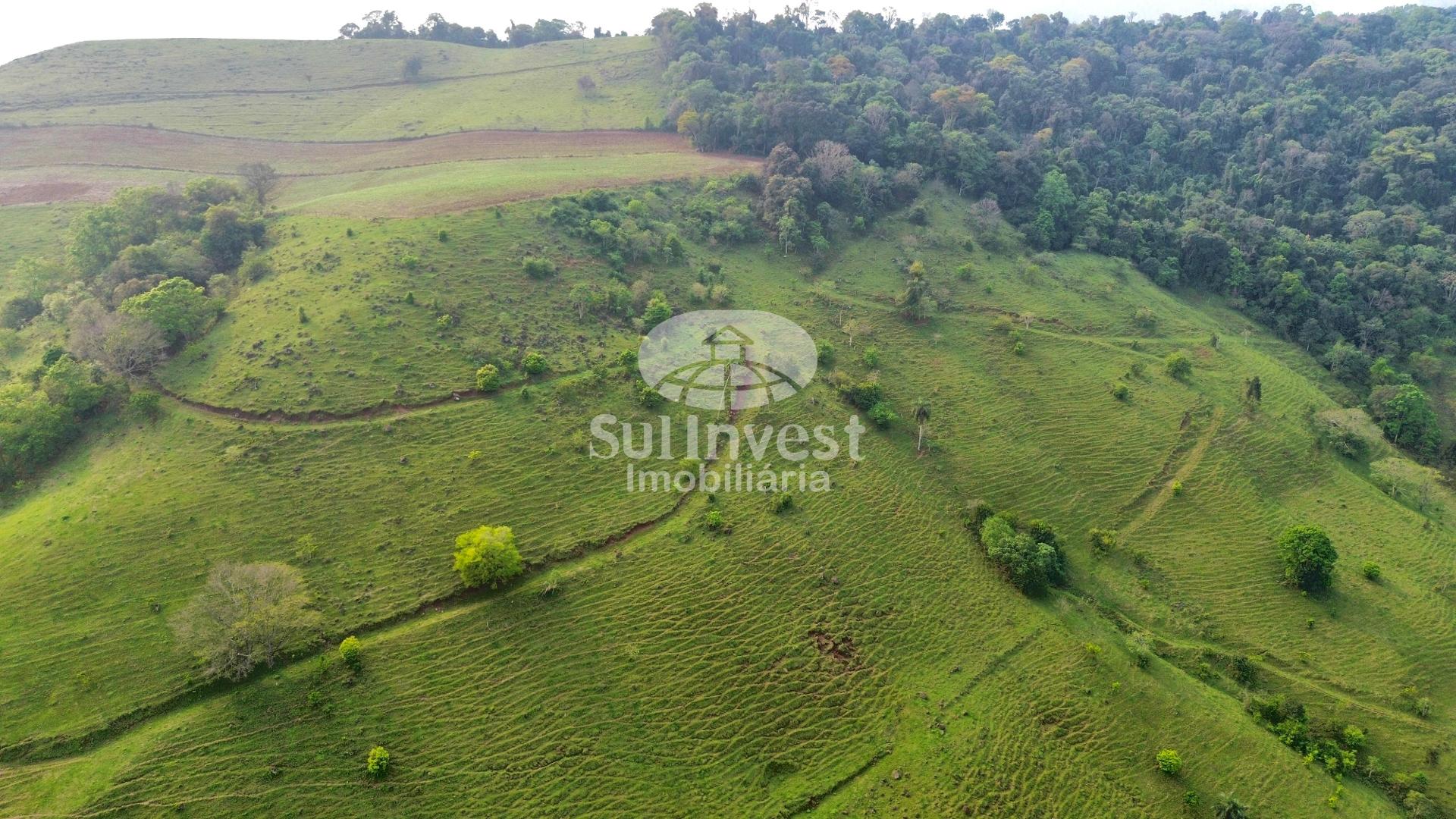 Fazenda à venda, propriedade tranquila e muito bem localizada ...