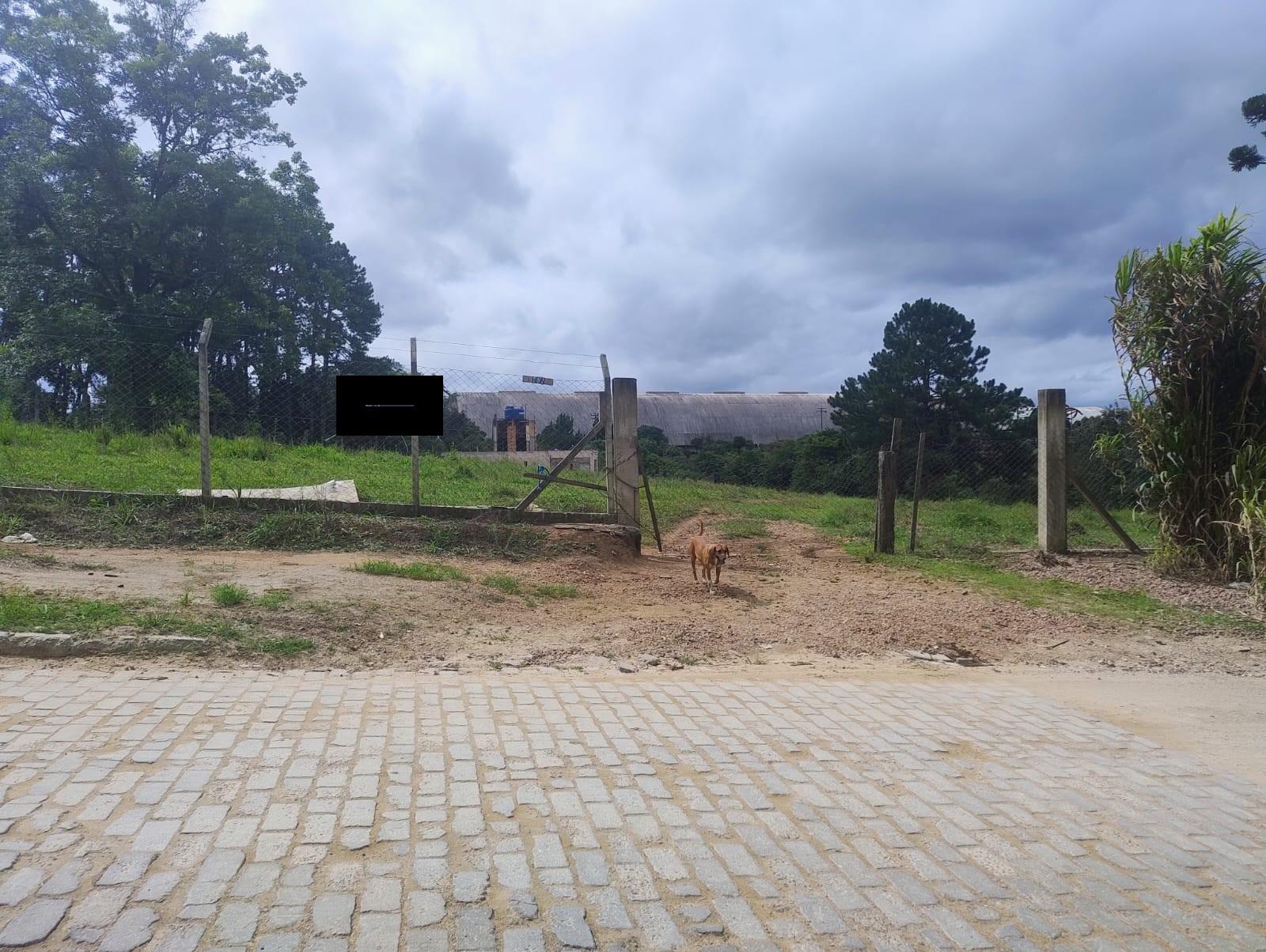 Terreno à venda, 5.000 m2, ALTO BOQUEIRÃO, CURITIBA - PR