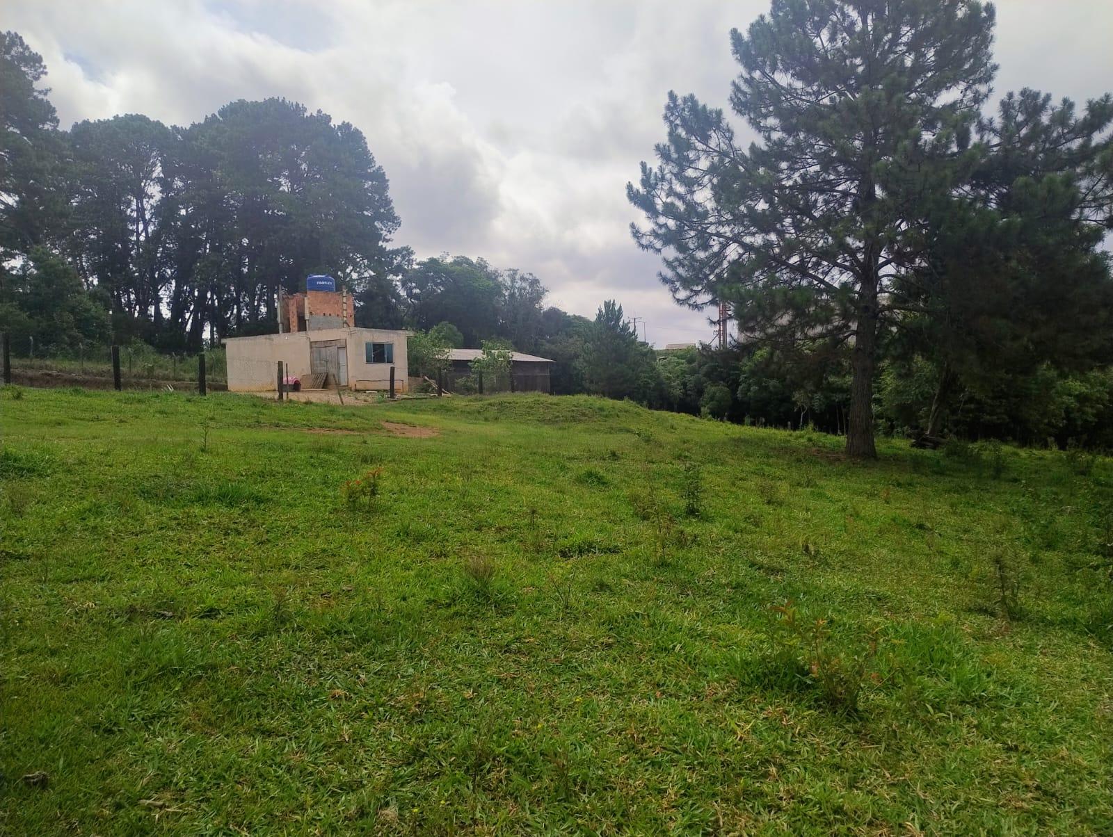 Terreno à venda, 5000 m2, ALTO BOQUEIRÃO, CURITIBA - PR