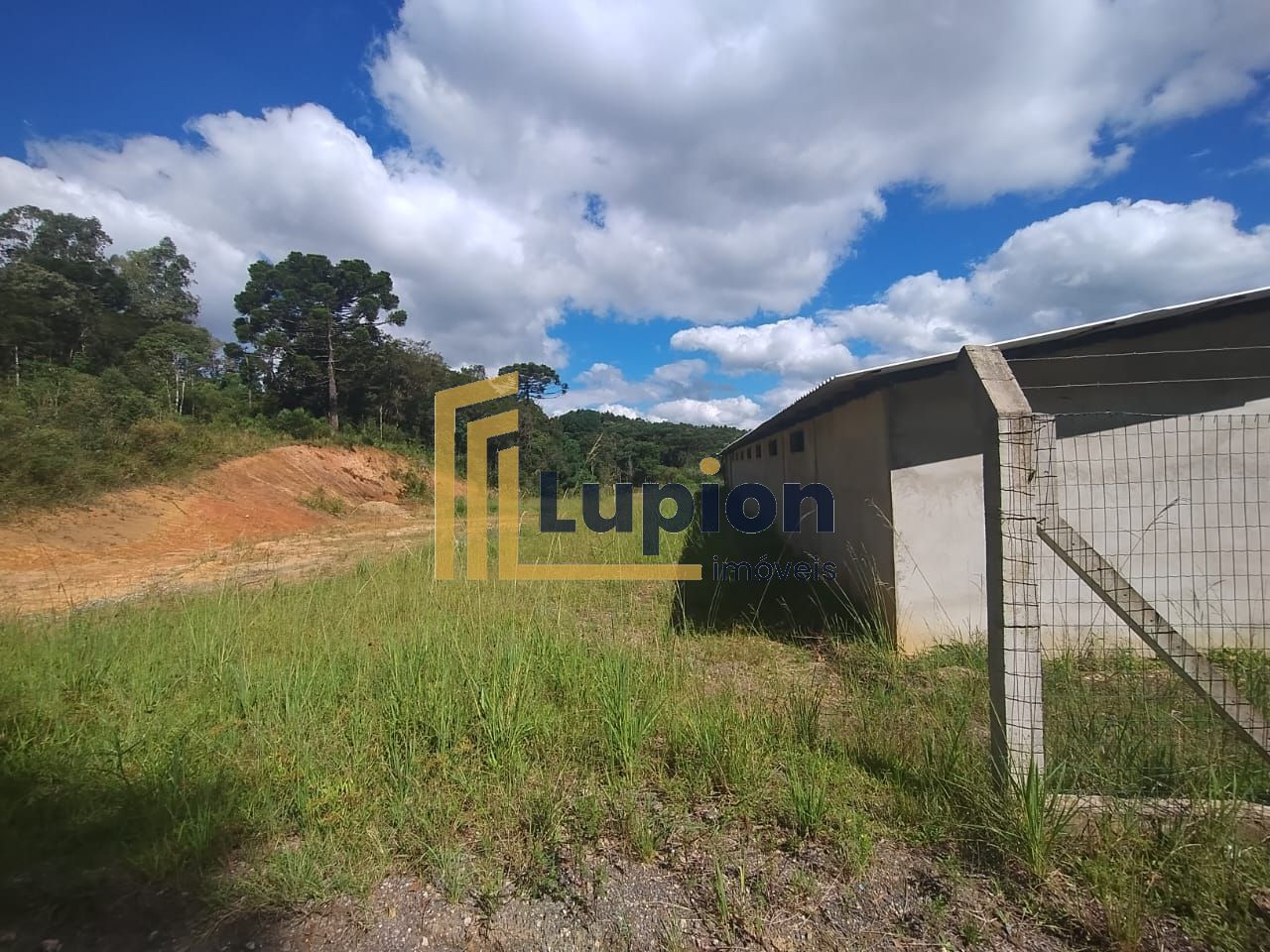 Terreno à venda, 28652 m  por R  4.600.000,00 - Centro - Tijuc...