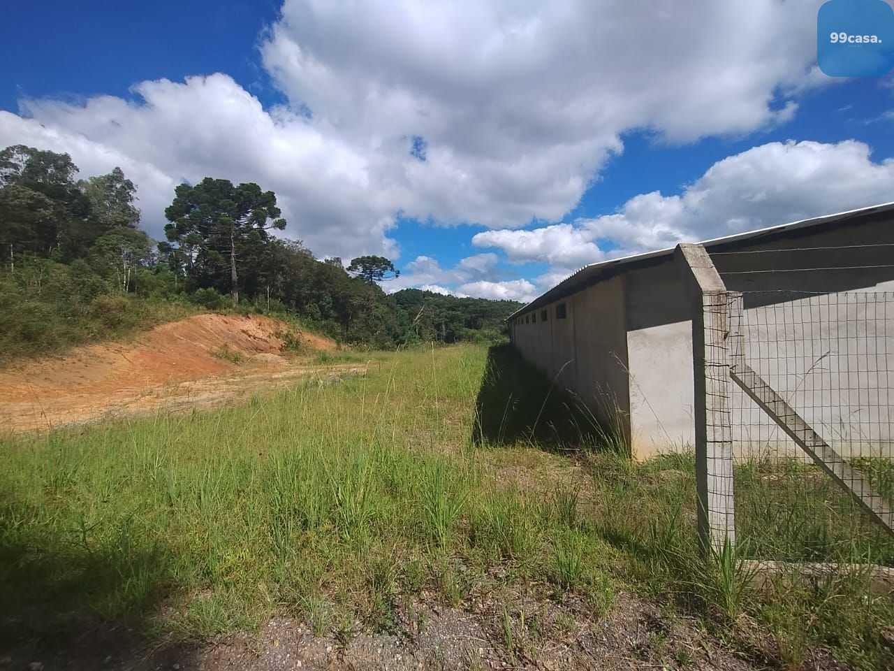 Terreno à venda, 28652 m  por R  4.600.000,00 - Centro - Tijuc...