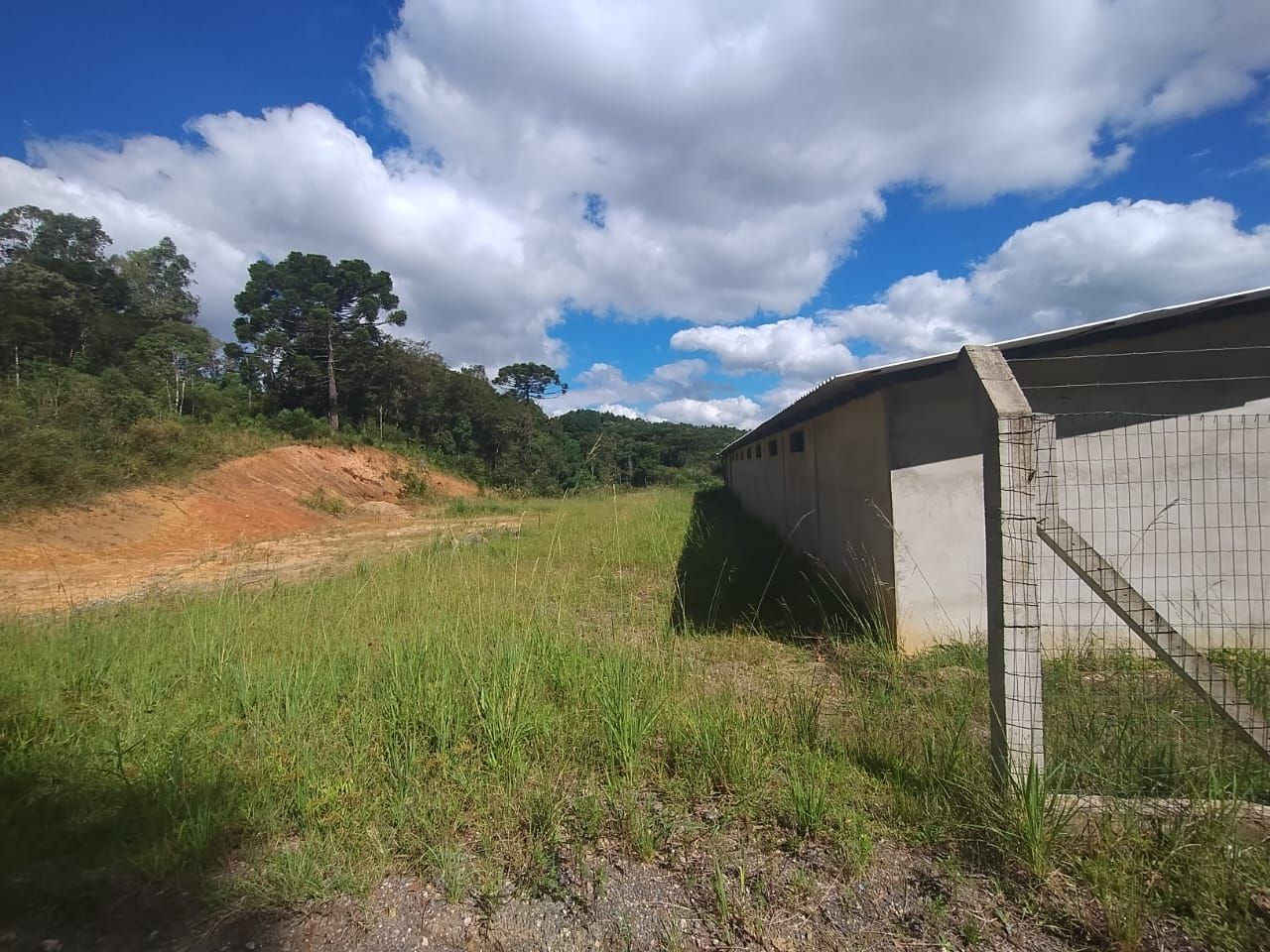 Terreno à venda, 28652 m  por R  4.600.000,00 - Centro - Tijuc...