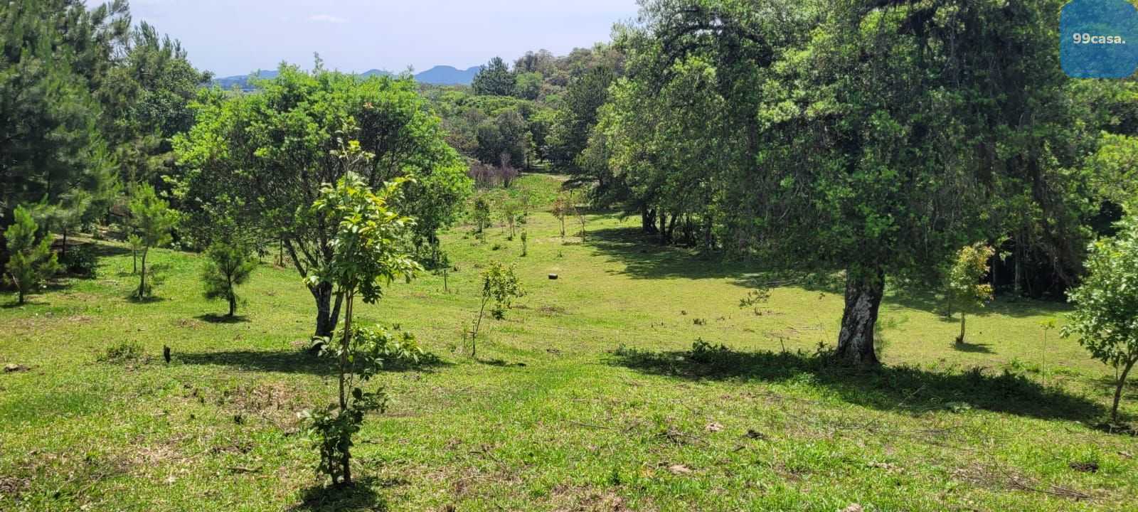 Chácara à venda, 29519 m  por R  400.000,00 - Tabatinga - Tiju...