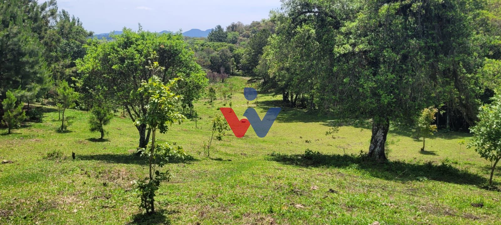 Chácara à venda, 29519 m  por R  400.000,00 - Tabatinga - Tiju...