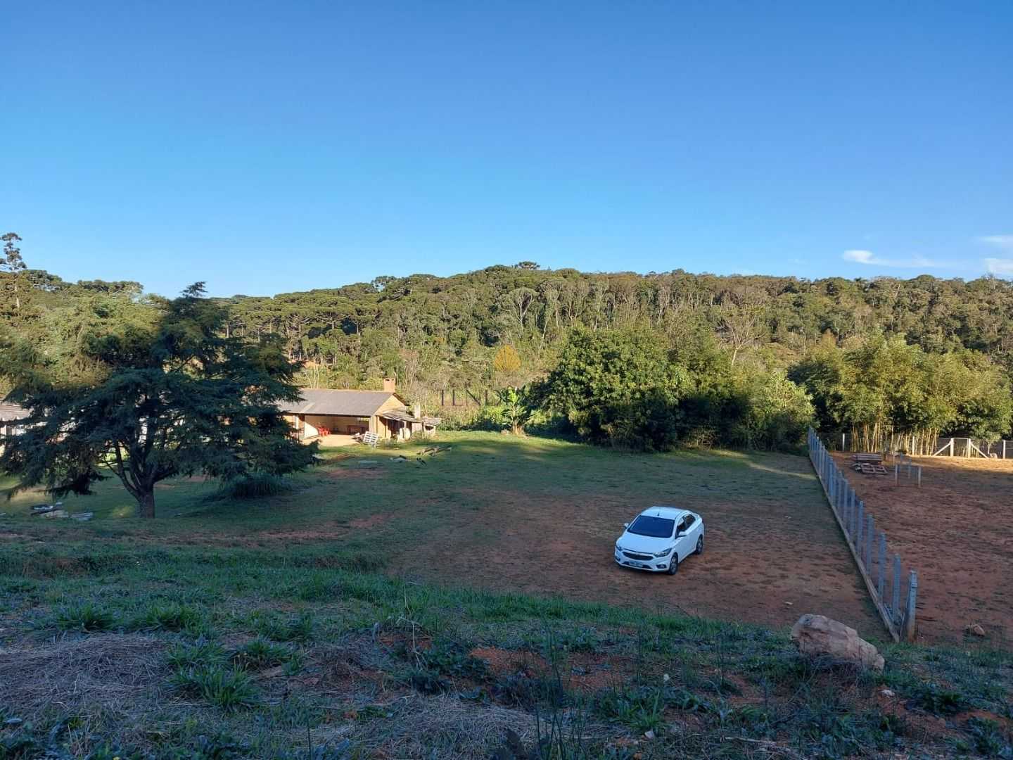 Terreno à venda, 1060 m  por R  560.000,00 - Rondinha - Campo ...