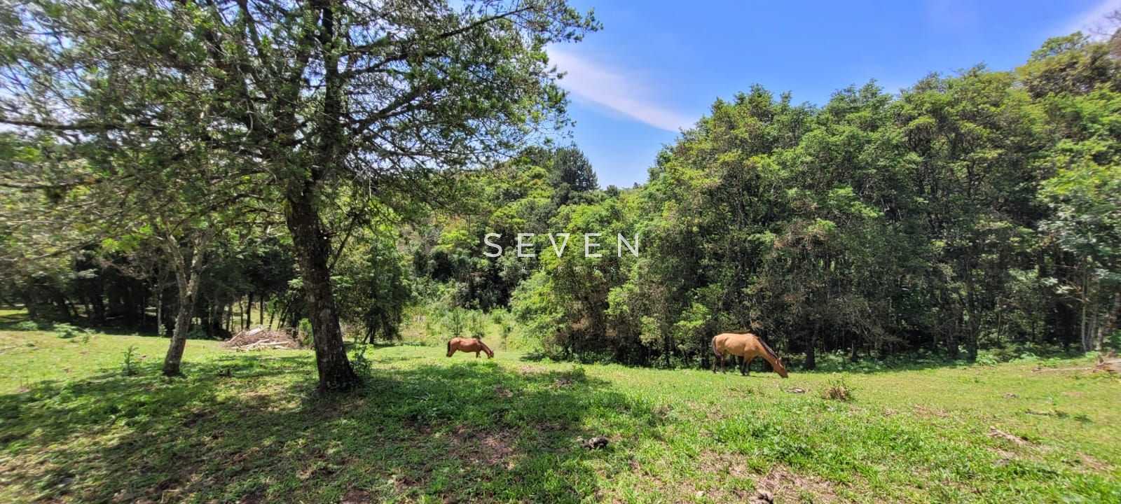 Chácara à venda, 29519 m  por R  400.000,00 - Tabatinga - Tiju...