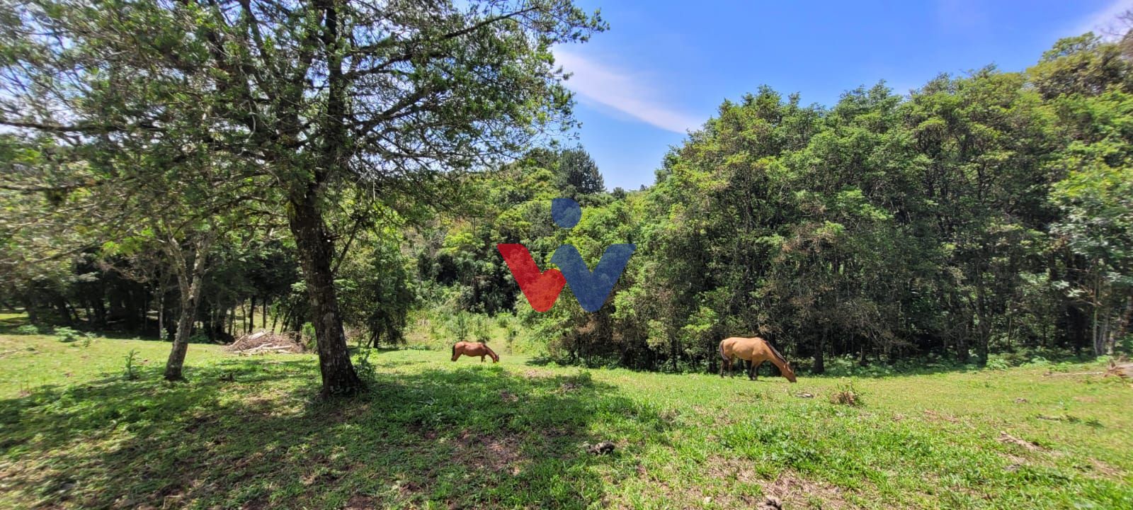 Chácara à venda, 29519 m  por R  400.000,00 - Tabatinga - Tiju...