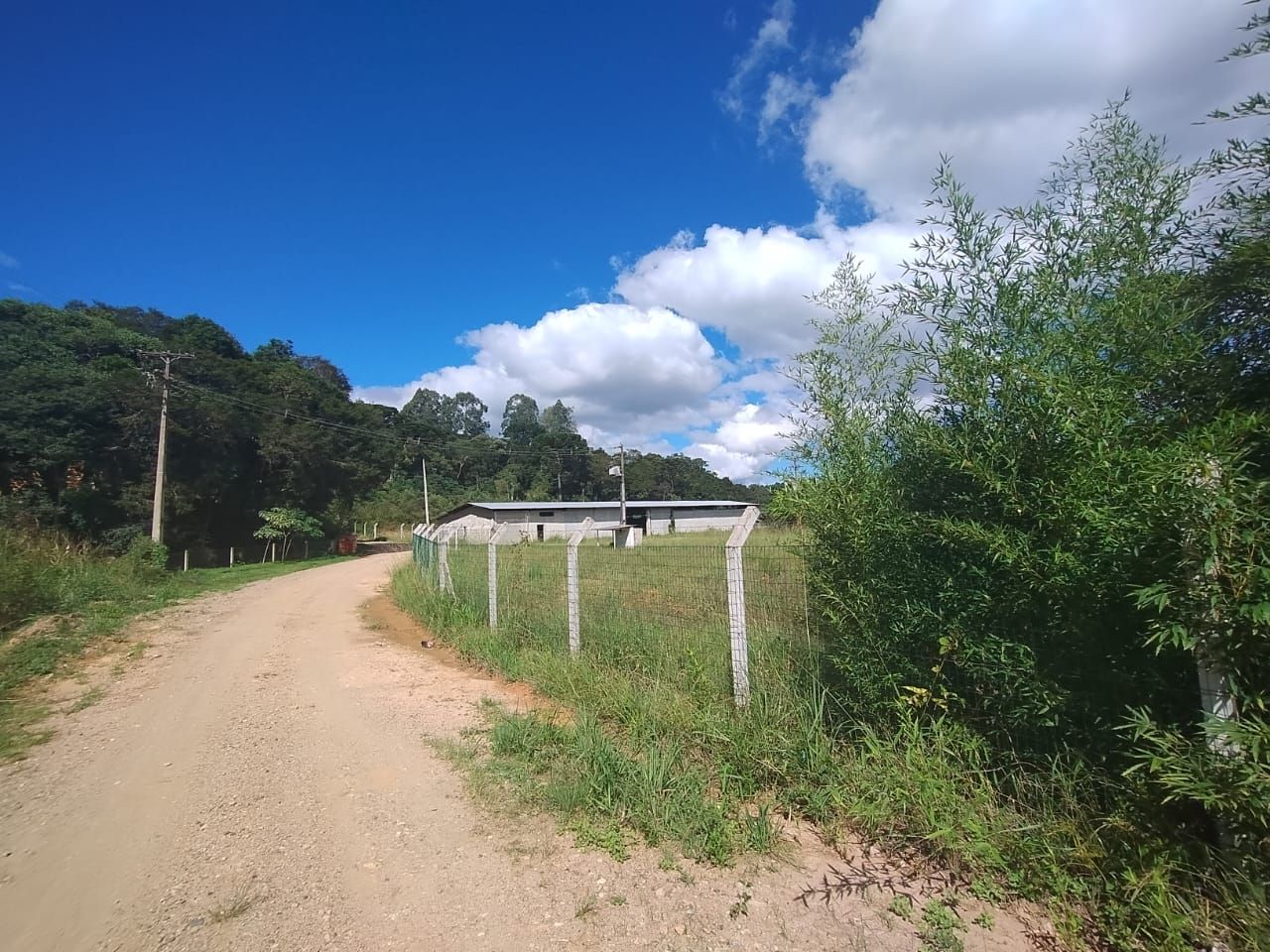 Terreno à venda, 28652 m  por R  4.600.000,00 - Centro - Tijuc...