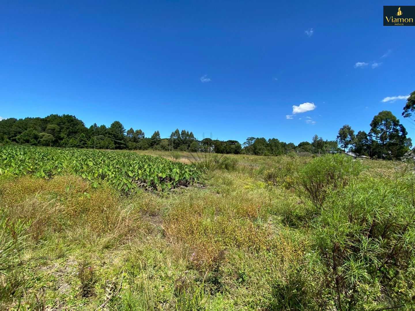 Chácara à venda, 57862 m  por R  650.000,00 - Tabatinga - Tiju...