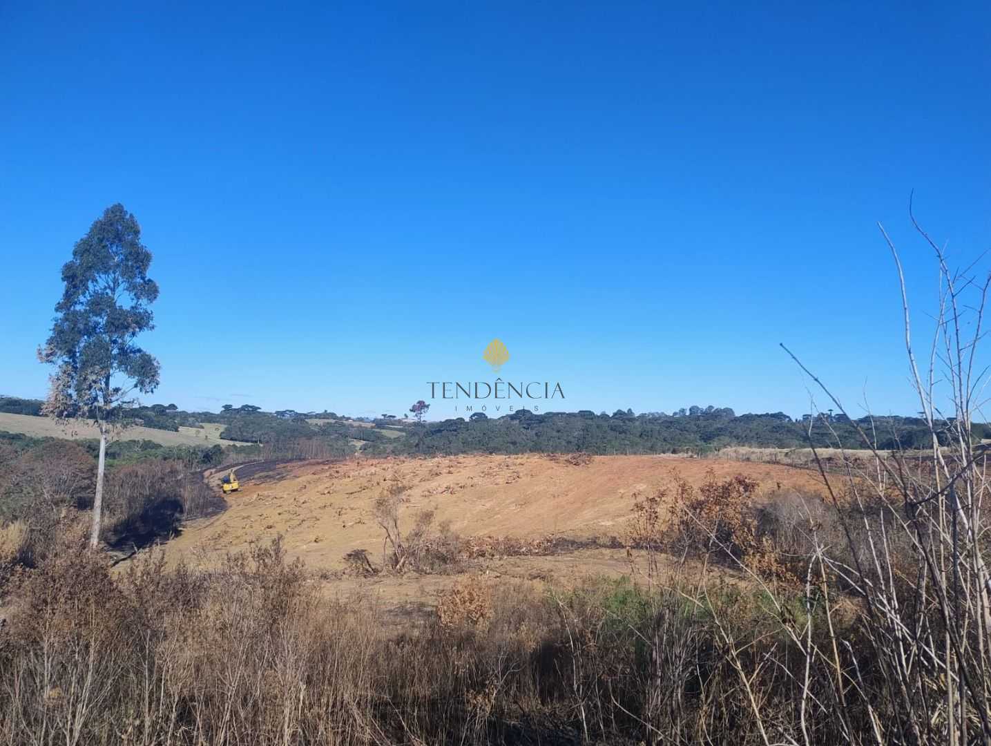 Chácara à venda, 29040 m  por R  4.400.000,00 - Cachoeira - Sã...