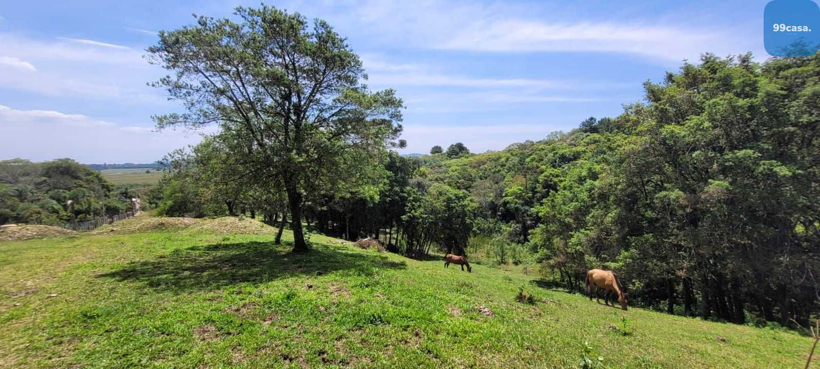 Chácara à venda, 29519 m  por R  400.000,00 - Tabatinga - Tiju...