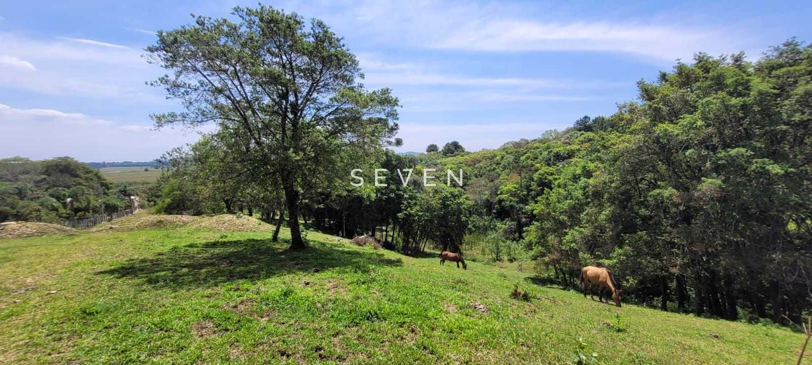 Chácara à venda, 29519 m  por R  400.000,00 - Tabatinga - Tiju...