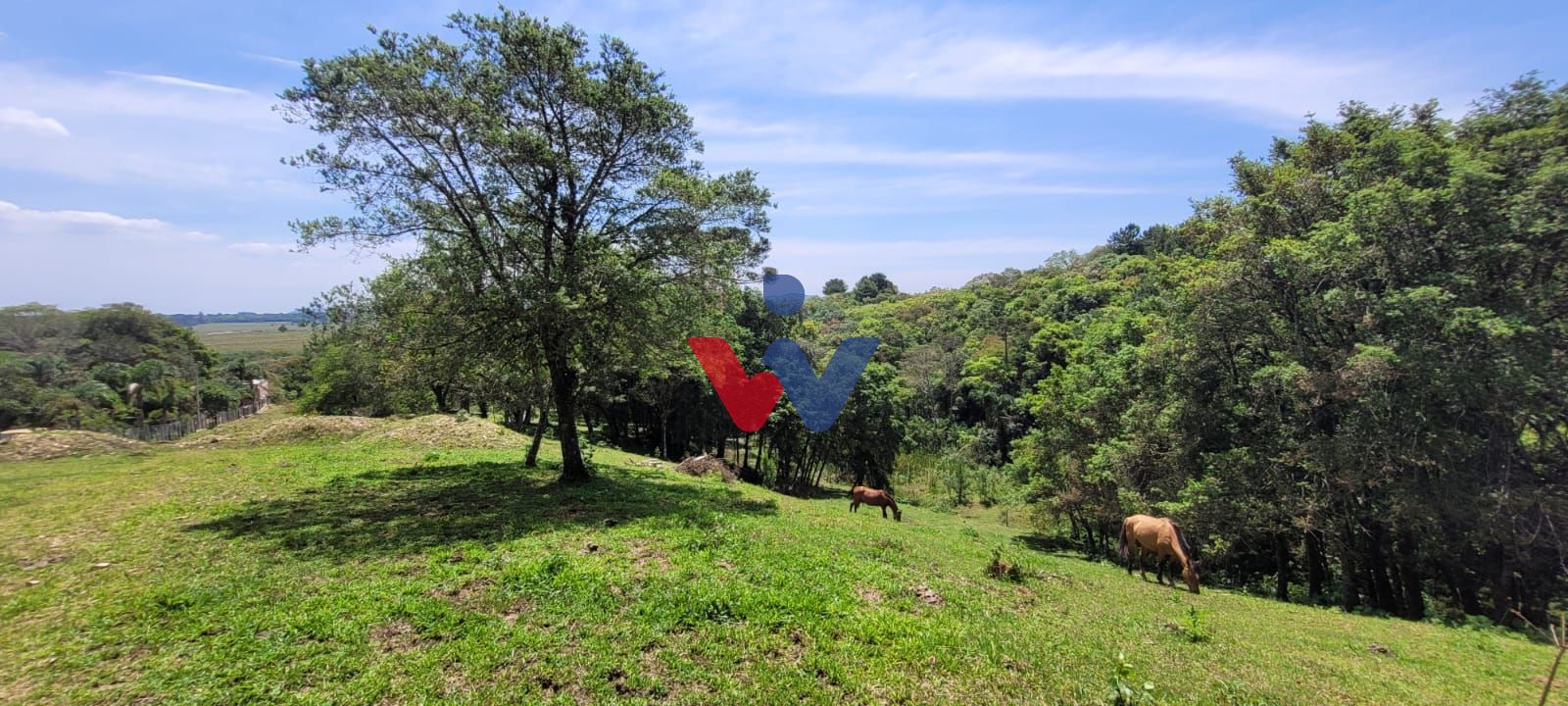 Chácara à venda, 29519 m  por R  400.000,00 - Tabatinga - Tiju...