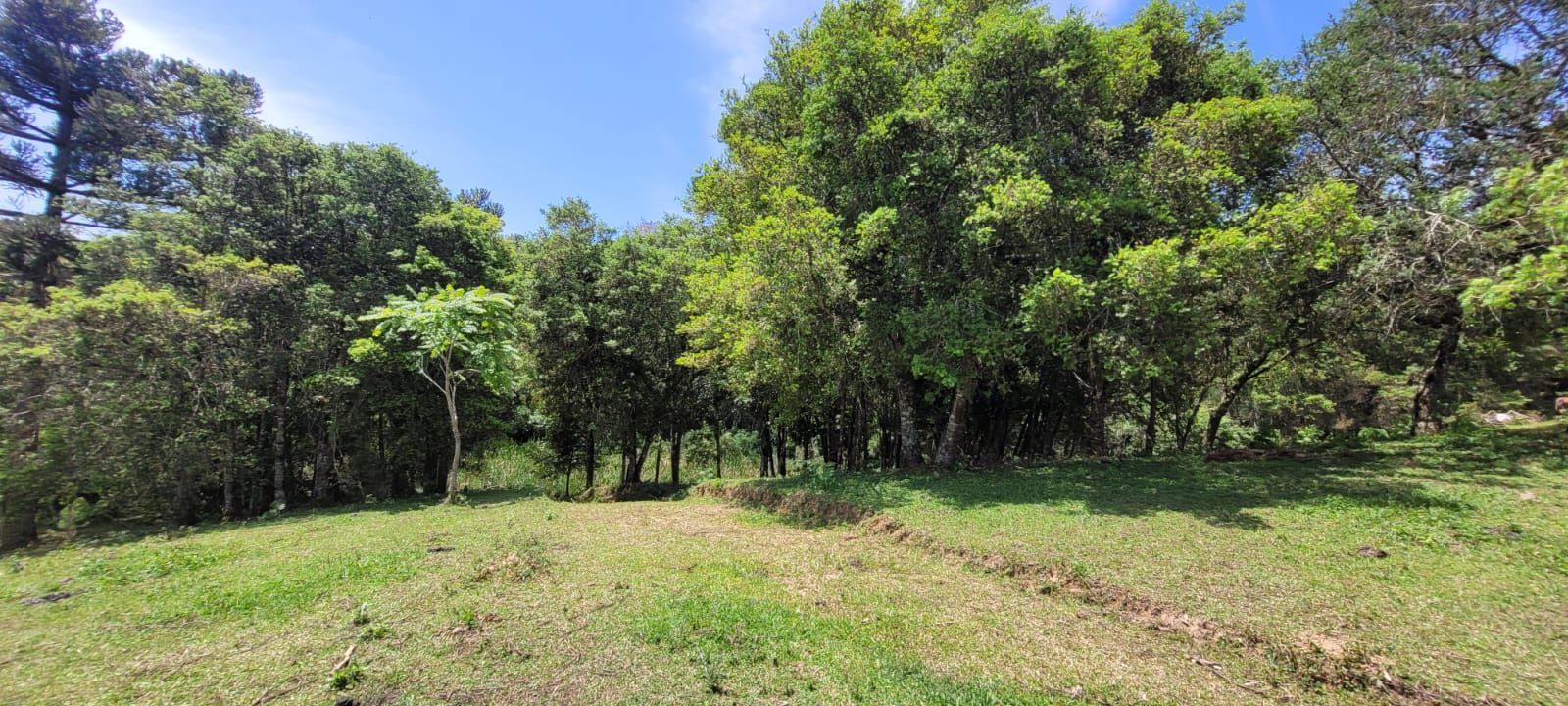 Chácara à venda, 29.519 m2 por R  399.000,00 - Tabatinga - Tij...