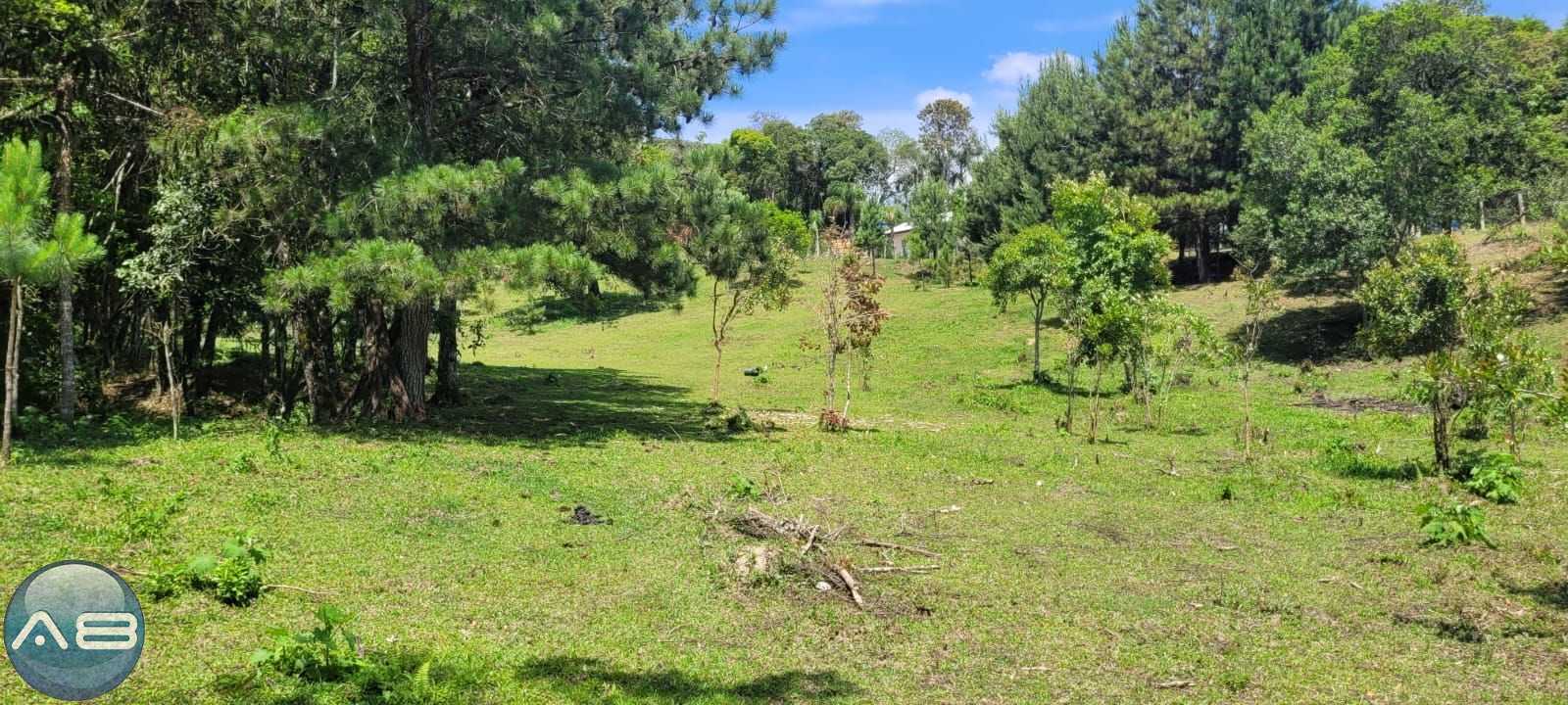 Chácara à venda, 29519 m  por R  400.000,00 - Tabatinga - Tiju...