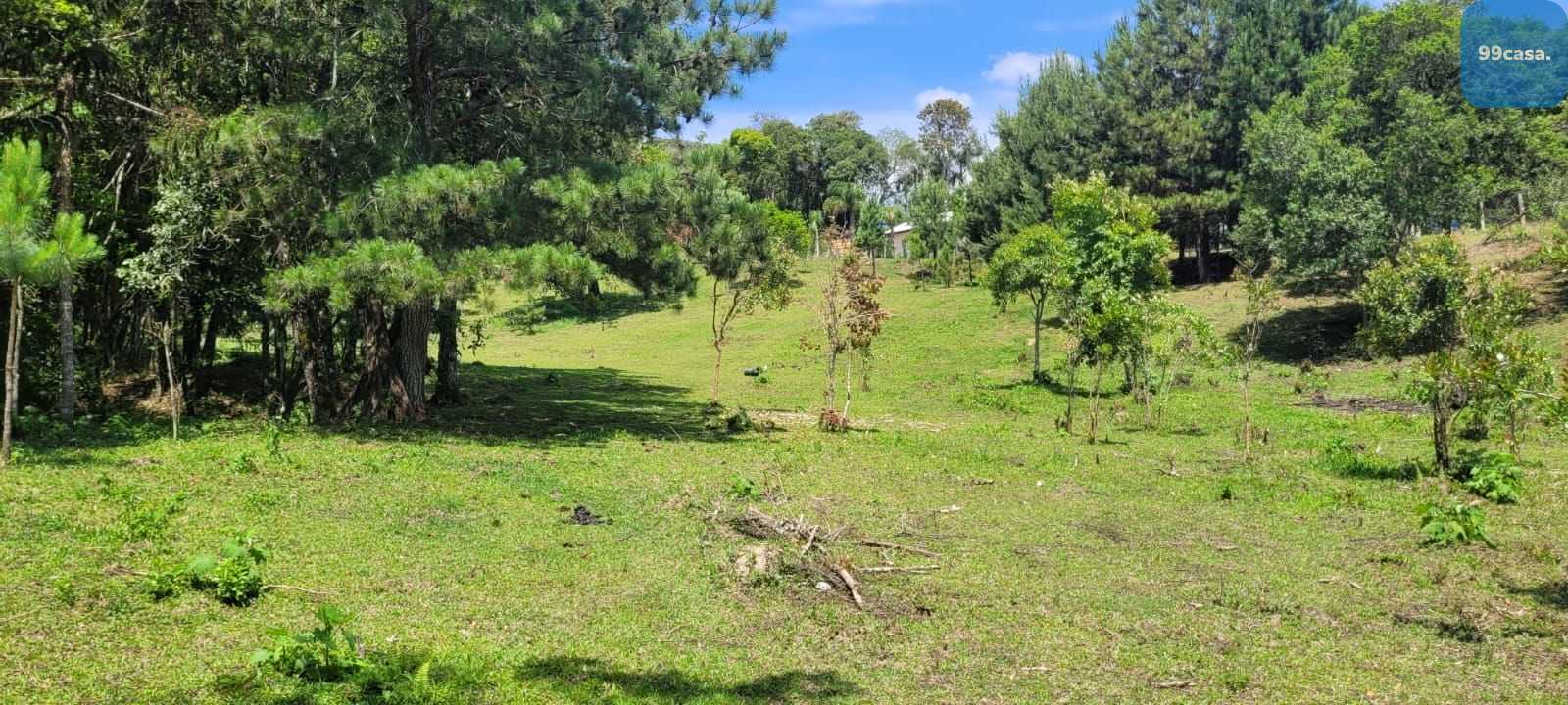 Chácara à venda, 29519 m  por R  400.000,00 - Tabatinga - Tiju...