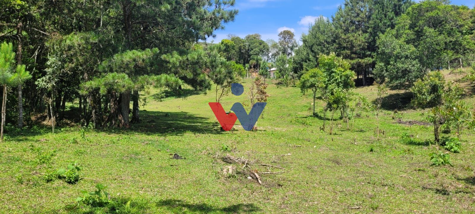 Chácara à venda, 29519 m  por R  400.000,00 - Tabatinga - Tiju...