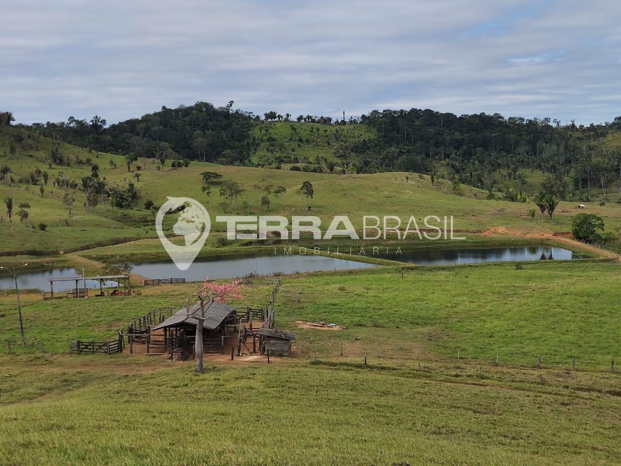 Sítio Linha 202 em Vale do Paraíso-RO