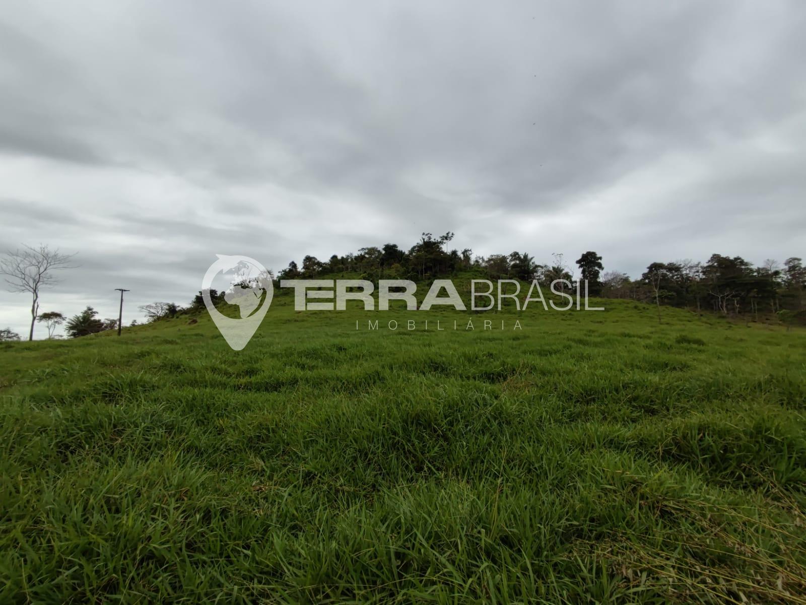 Sítio 23 Alqueires, Linha 202 em Vale do Paraíso-RO