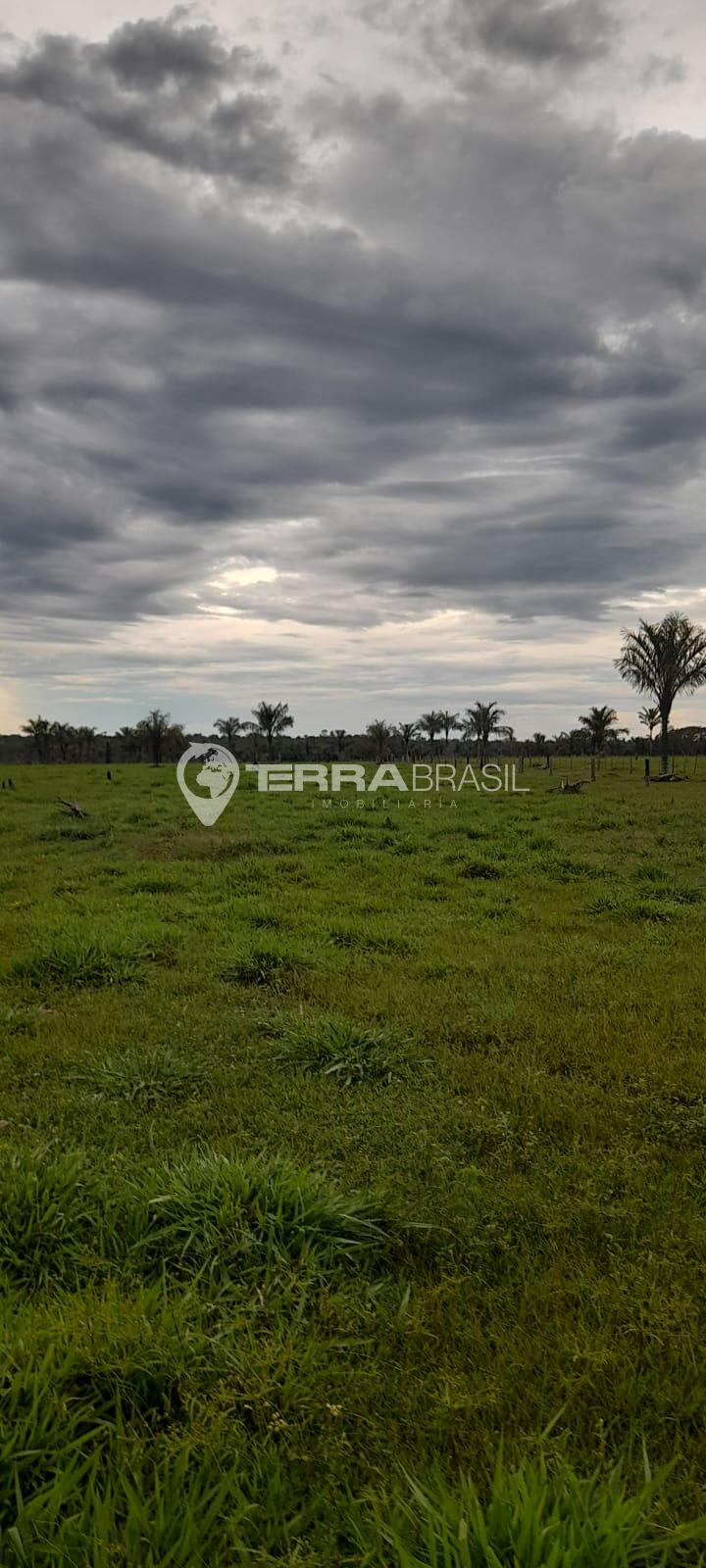 Fazenda São Francisco do Guaporé-RO