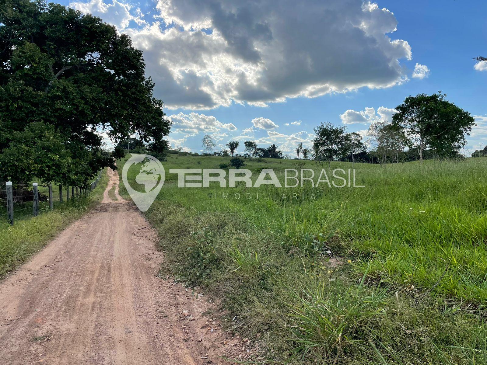 Chácaras à venda próximo ao B. Araçá em Ji-Paraná-RO